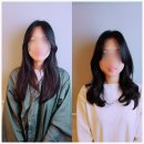 장미용실 이미지