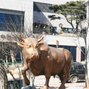 온새미로 장수골(한 이미지