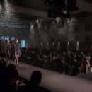 (쇼호스트 뉴스) 홈쇼핑, &#39;패션&#39; 타고 훨훨 날아오른다 이미지