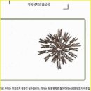 치아살리기 드림365치과의원 이미지