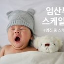 일곱빛깔약속치과의원 네이버블로그