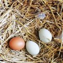 무주반디농장 이미지