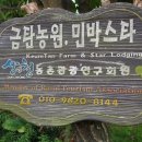 금탄민박 이미지