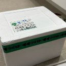 [입터짐방지템] 떡볶이 못 참는 다이어터 주목! 원파우더 저당 떡볶이 내돈내산 후기 🍴