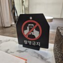 서울 폴라리스 웨딩 드레스 투어 피팅 후기 두 번째 (지정계약)