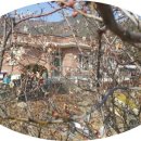 견우농장 이미지