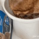 그랜마펫푸드 이미지