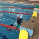 동신파이디온 이미지