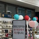 착한 고양이 이미지