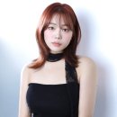 레드헤어쿨 이미지