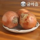 양파 - 구로구 구로동로 163 | 양파