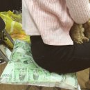 돈방석 이미지