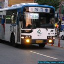동양교통(주) 네이버블로그
