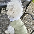 동그리멍 이미지