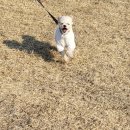 푸르댕 2산단점 이미지