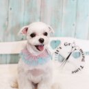 잇츠그루밍타임 이미지