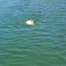 가평낚시터 이미지