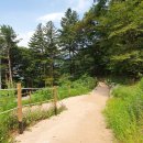 청평자연휴양림 이미지