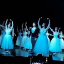 유니버설발레단 지젤 이미지