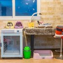 멍펜션3 이미지