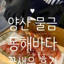 양산 새우맛집 동해바다꽃새우 후기