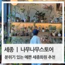 현대세종서비스 | 세종 화원 추천 | 세종 식물 맛집 나무나무스토어 구경만 해도 행복한 예쁜화원 후기
