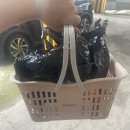 ◌잔잔한 일주일