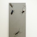 디자인사강 이미지