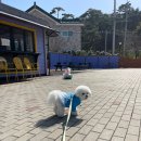 오마이도시락 이미지