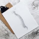바로본신경외과 이미지