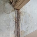 어양주공8 이미지