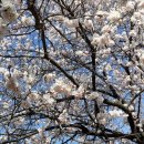 백운산약수터 이미지