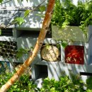 호텔 진 이미지