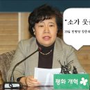 안노골소 데일리안