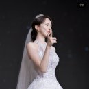 서사포토그라피 본식스냅 계약 후기 | 가격, 상담, 결정까지 리얼 후기