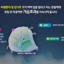 코차몰