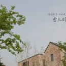 양지하우스 - 태안군 진산1길 229-42 | 양지하우스