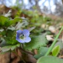 남구장애인종합복지관 이미지