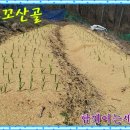 산골식품