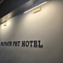 르라움 애견호텔 신암점 이미지