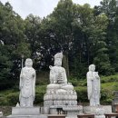 훈훈한과일 - 동대문구 경동시장로 4-1 | 청주 용호사 소원돌 의심많았던 후기