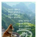 늘한결