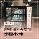 현대고기백화점 | 연백딸기모찌 판교 현대백화점 선물포장 후기