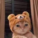 우요 이미지