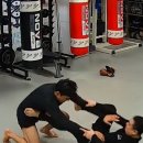 씰피티클럽
