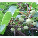 멍굴멍굴 이미지