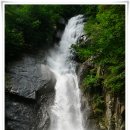 제987차 새싹산악회 정기산행 (홍천 백우산 895m) 알려드립니다 이미지