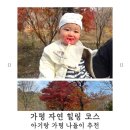 골든까페 | 아기랑 가평 여행 코스 추천｜유명산자생식물원 & 골든트리 카페 후기