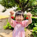 새나래유치원 이미지