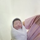 에디스여성병원 | 부산 사하구 산부인과/ 에디스 여성병원 출산후기